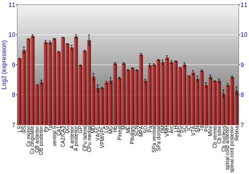 Expression graph