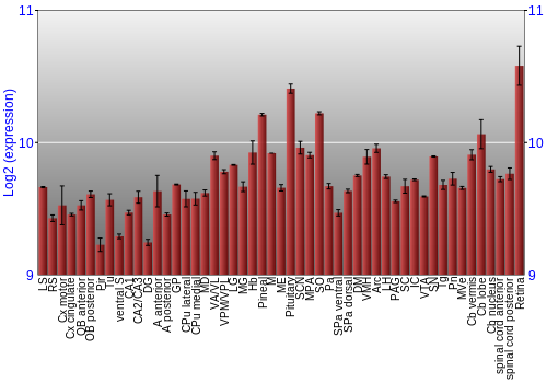 Expression graph