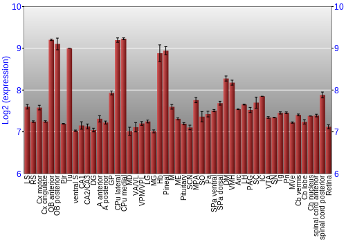 Expression graph