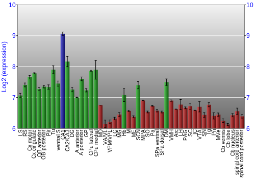 Multi-state expression graph