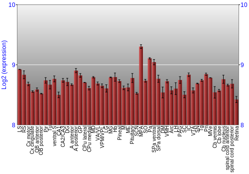 Expression graph
