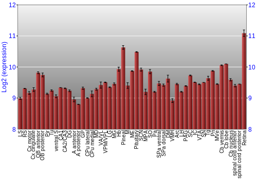 Expression graph
