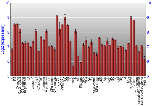 Expression graph