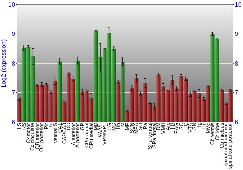 Multi-state expression graph