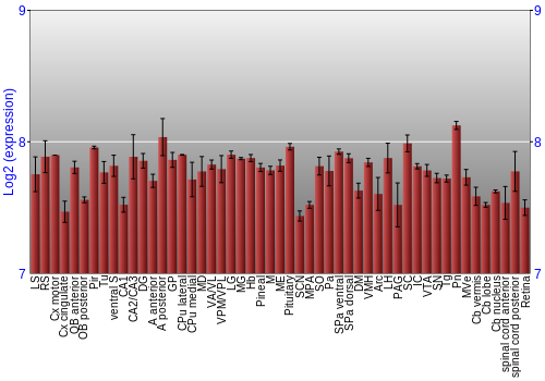 Expression graph