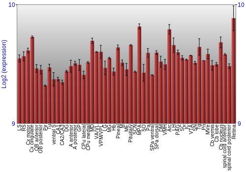 Expression graph