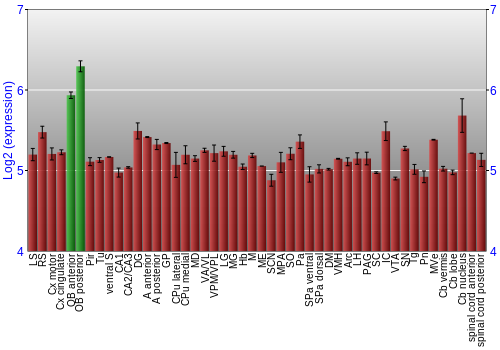 Multi-state expression graph