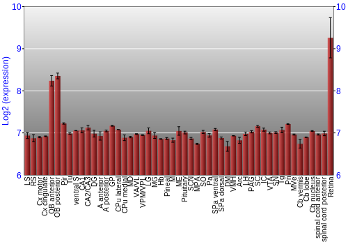 Expression graph