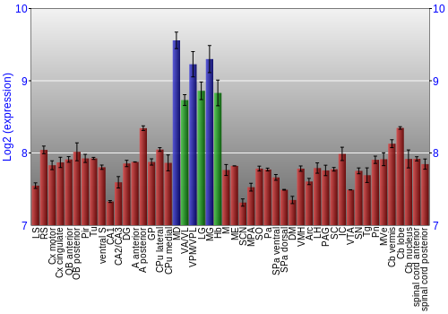 Multi-state expression graph