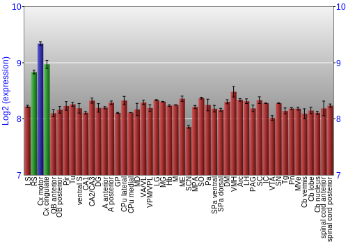 Multi-state expression graph