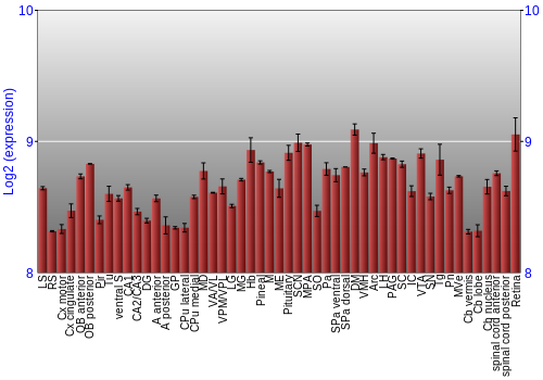 Expression graph