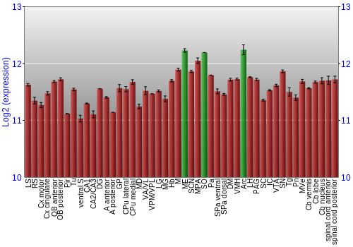 Multi-state expression graph