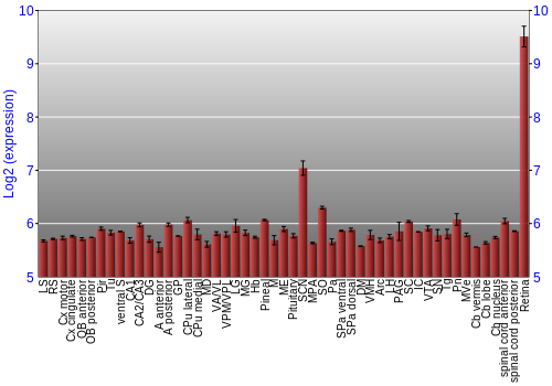 Expression graph