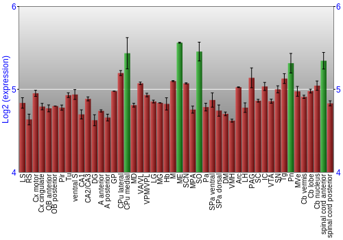 Multi-state expression graph
