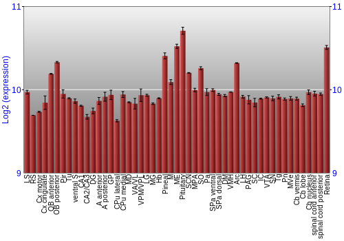 Expression graph