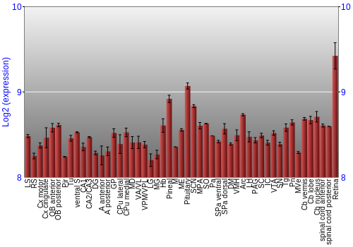 Expression graph