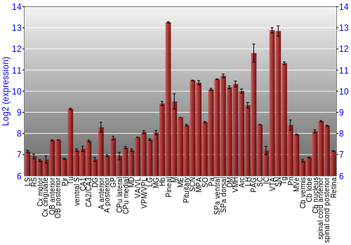 Expression graph