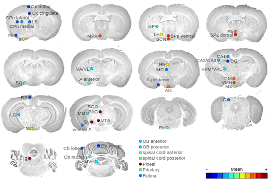 Expression map