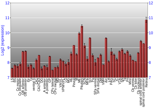 Expression graph