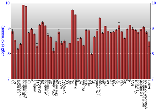 Expression graph