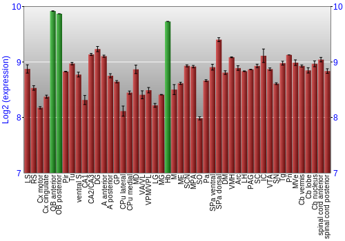 Multi-state expression graph