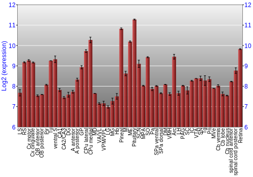 Expression graph