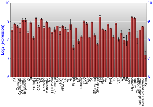 Expression graph