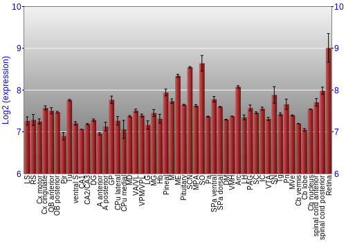 Expression graph