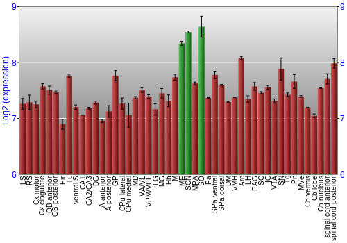 Multi-state expression graph