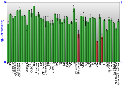 Multi-state expression graph
