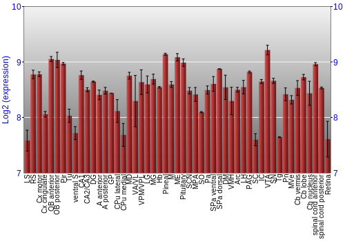 Expression graph