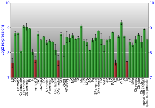 Multi-state expression graph