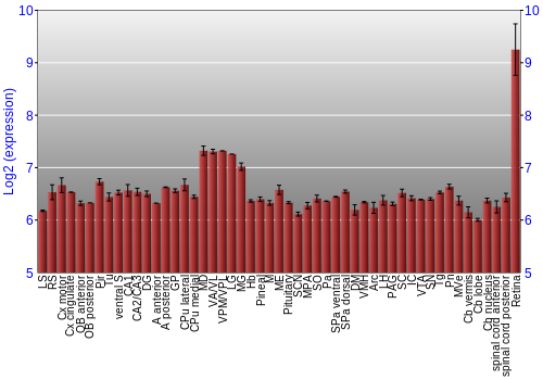 Expression graph