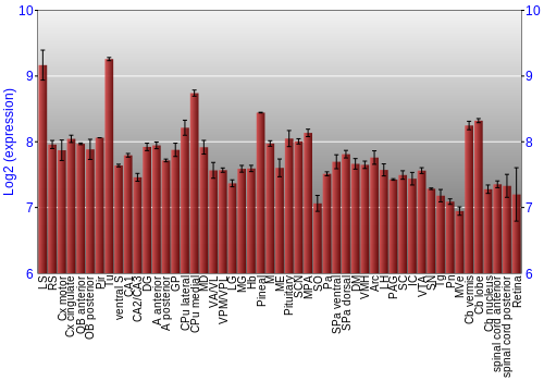 Expression graph