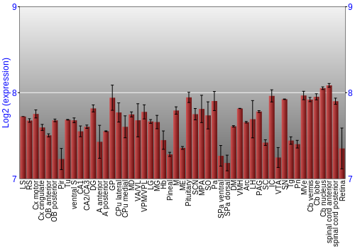 Expression graph