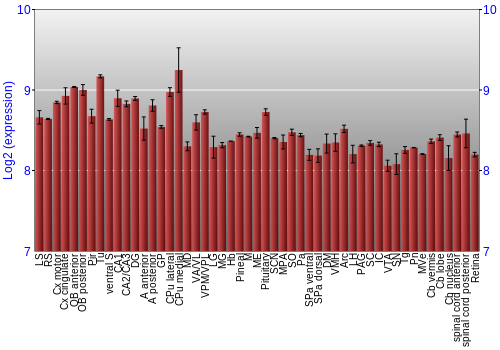 Expression graph