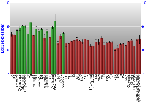 Multi-state expression graph
