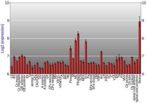 Expression graph