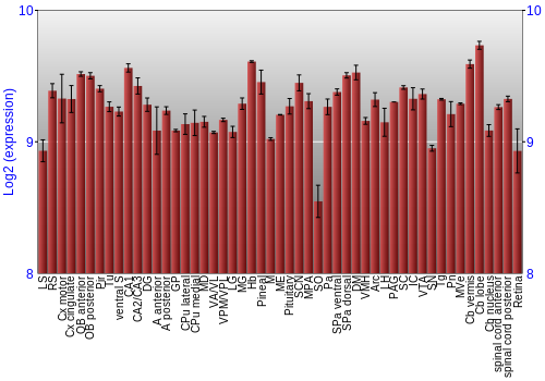 Expression graph