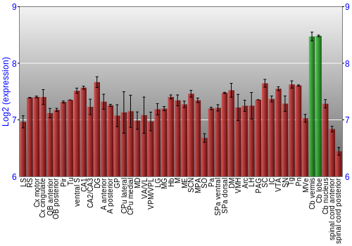 Multi-state expression graph