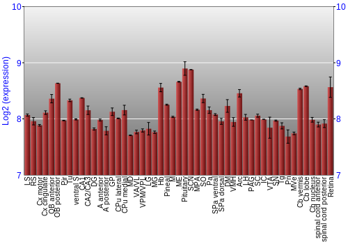 Expression graph