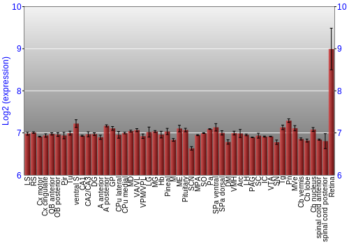 Expression graph