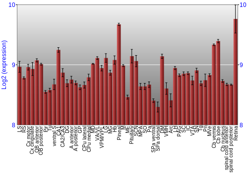 Expression graph