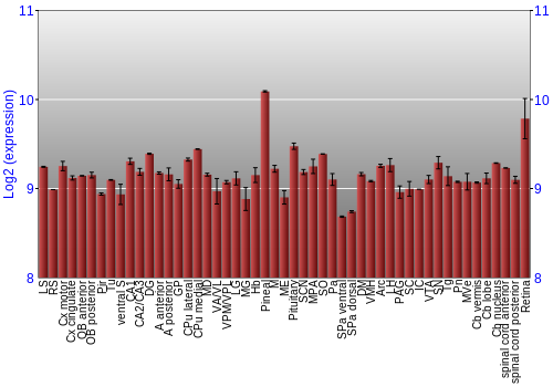 Expression graph