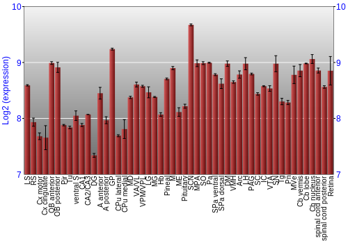Expression graph