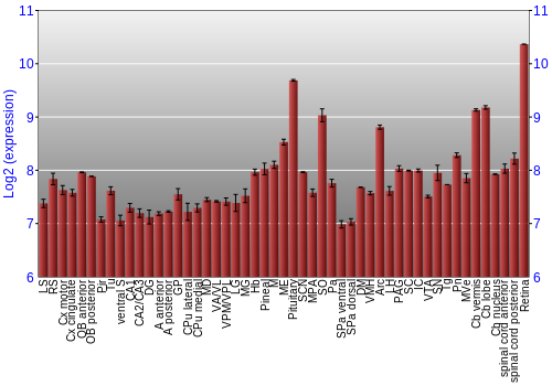 Expression graph