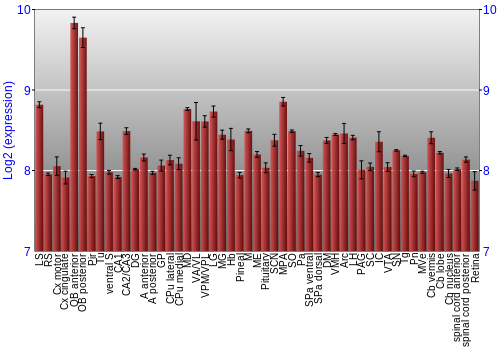 Expression graph