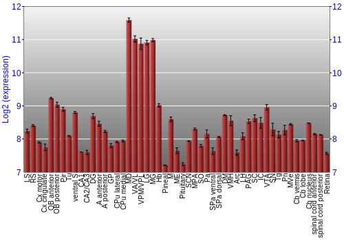 Expression graph