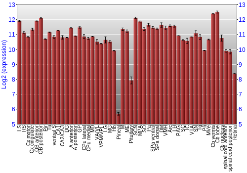 Expression graph