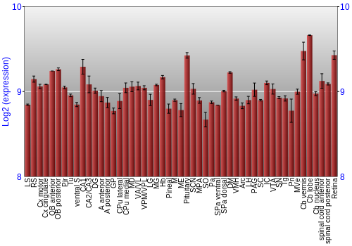 Expression graph